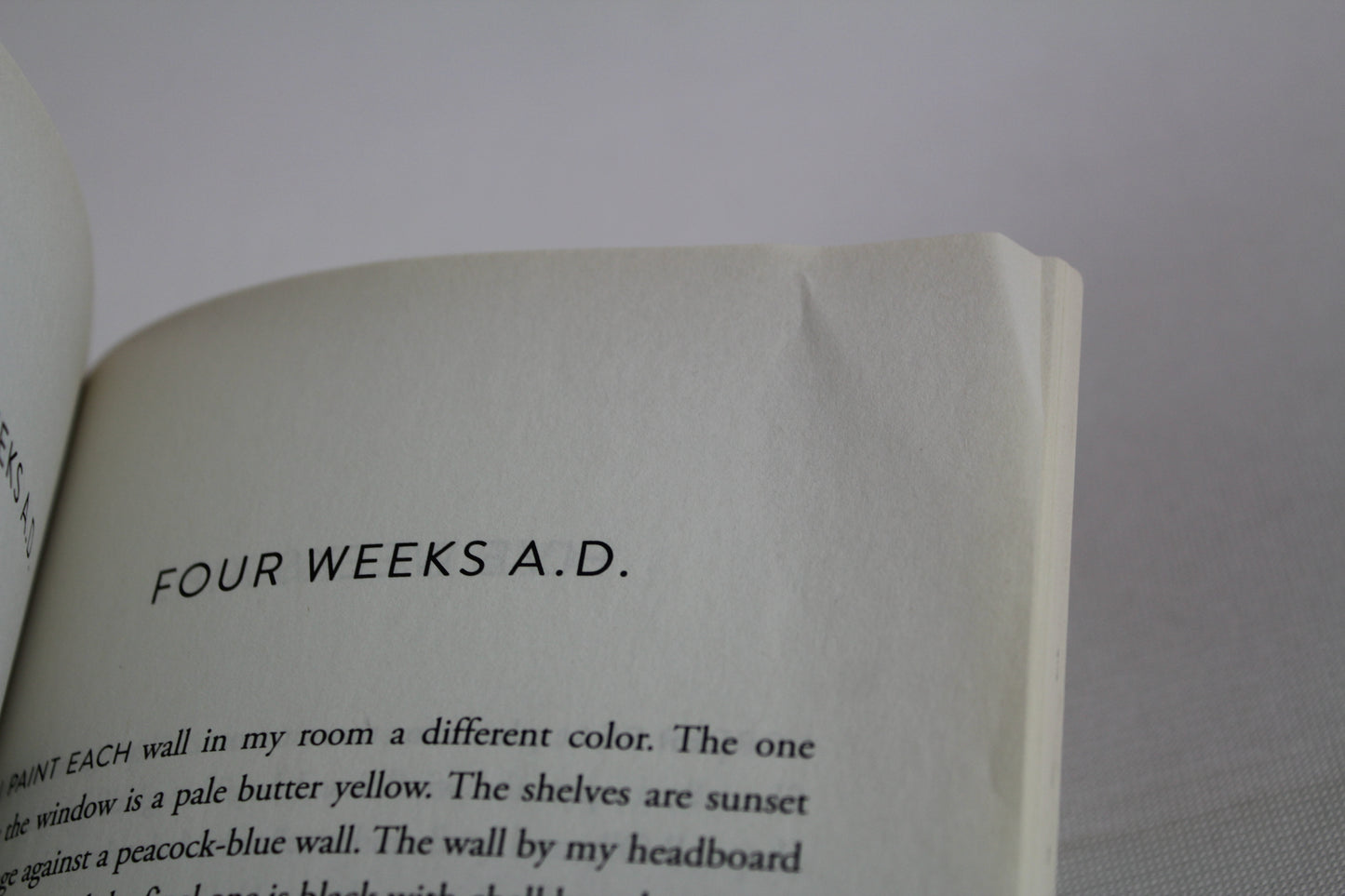 Everything, Everything by Nicola Yoon