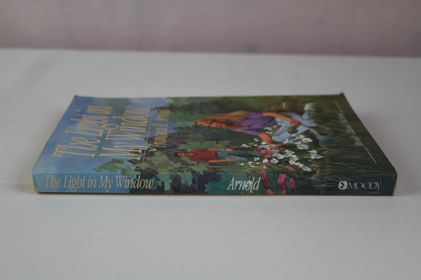 The Light in My Window (Moody Classic Fiction) by Francena H. Arnold