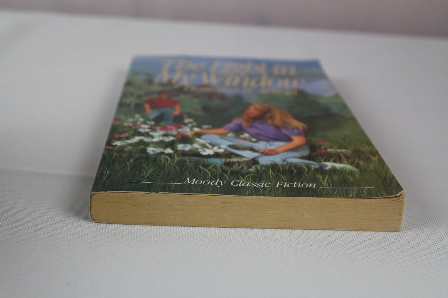 The Light in My Window (Moody Classic Fiction) by Francena H. Arnold