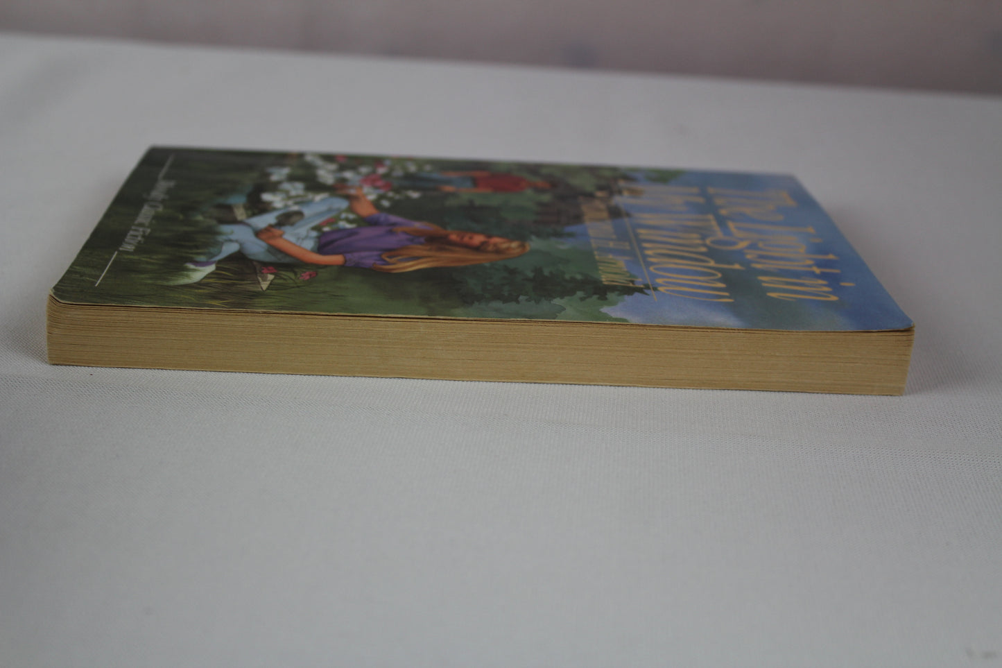 The Light in My Window (Moody Classic Fiction) by Francena H. Arnold