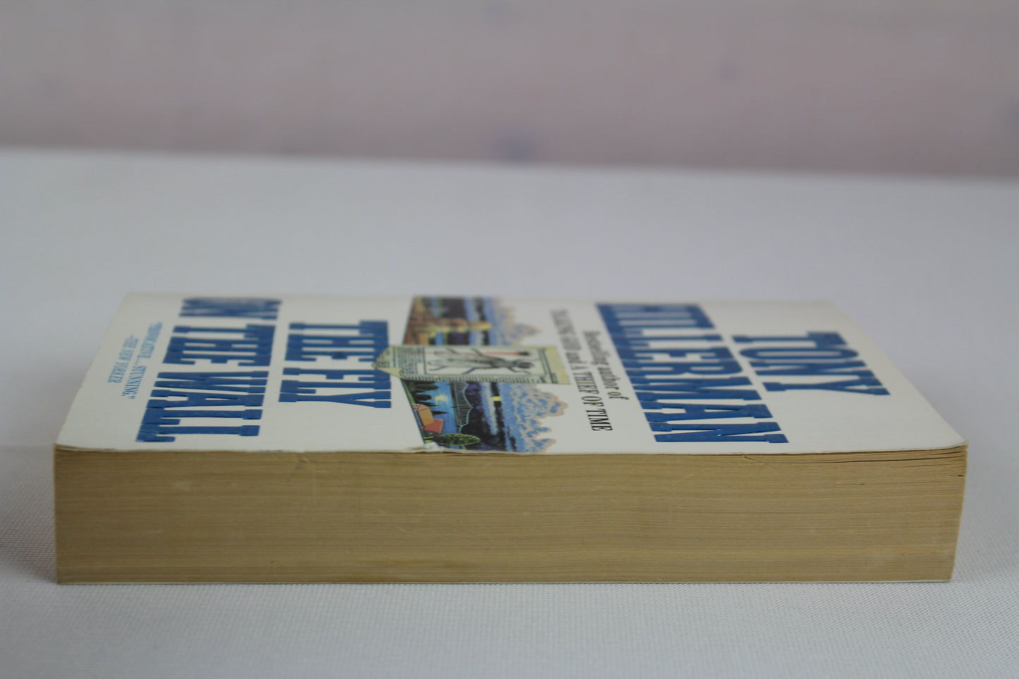 The fly on the wall by Tony Hillerman