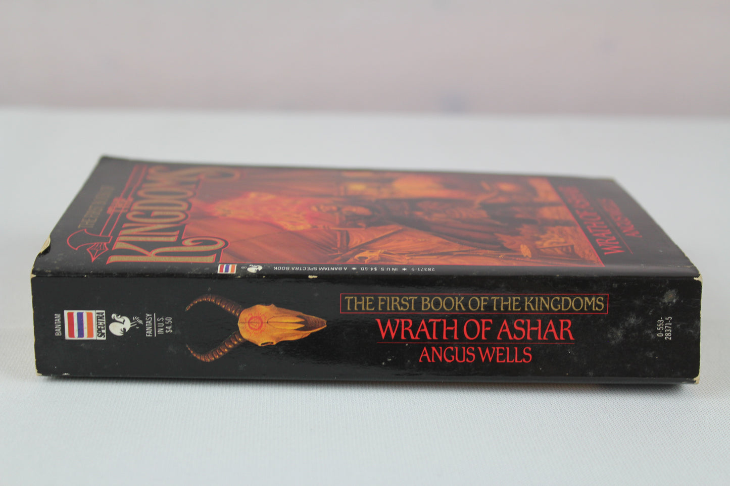 The Kingdoms: Wrath of Ashar by Angus Wells