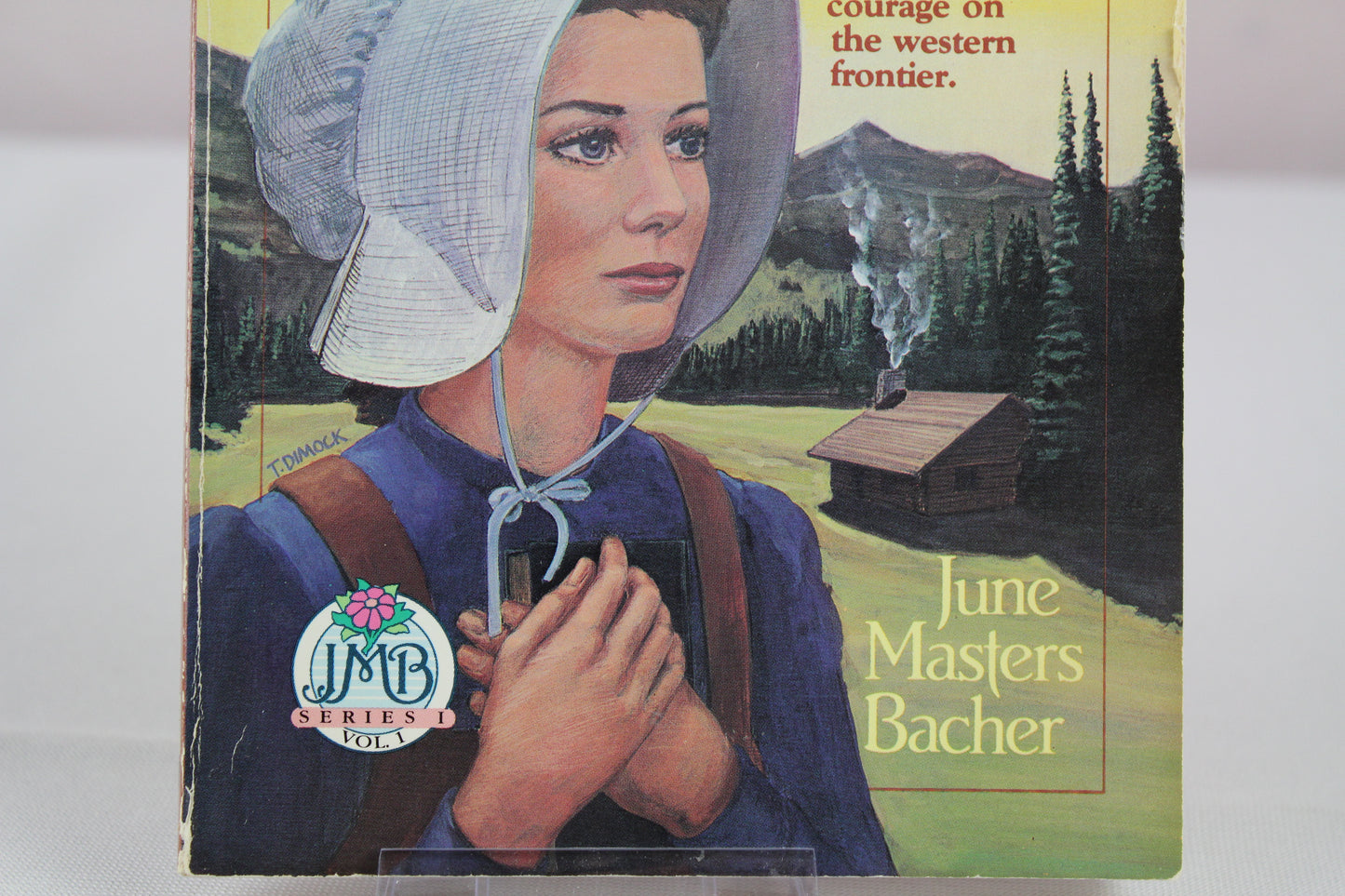 Love Is a Gentle Stranger by June Masters Bacher
