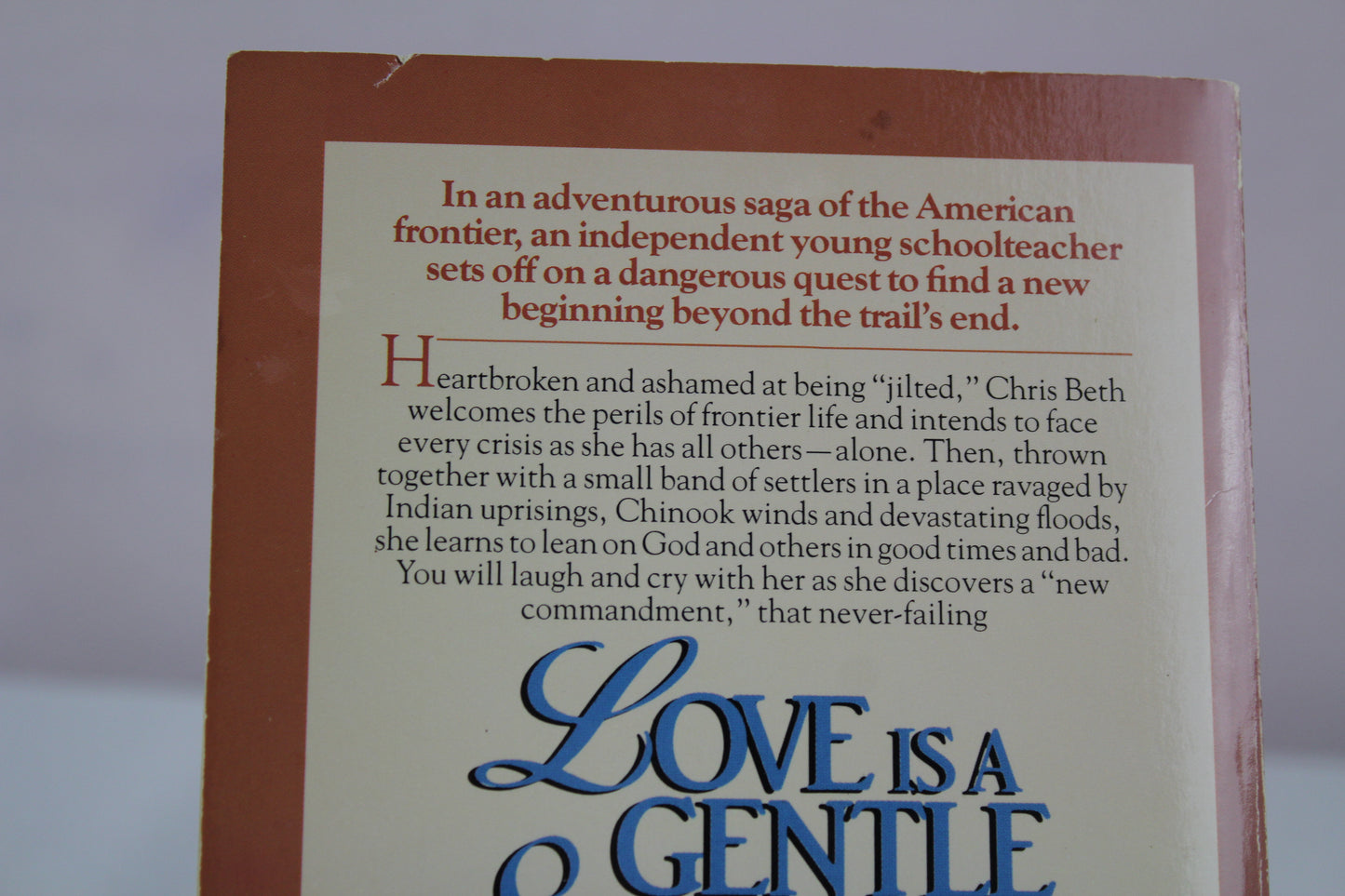 Love Is a Gentle Stranger by June Masters Bacher