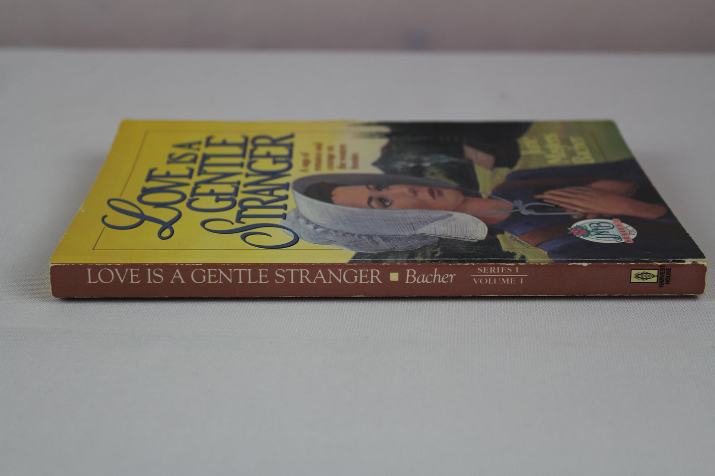 Love Is a Gentle Stranger by June Masters Bacher