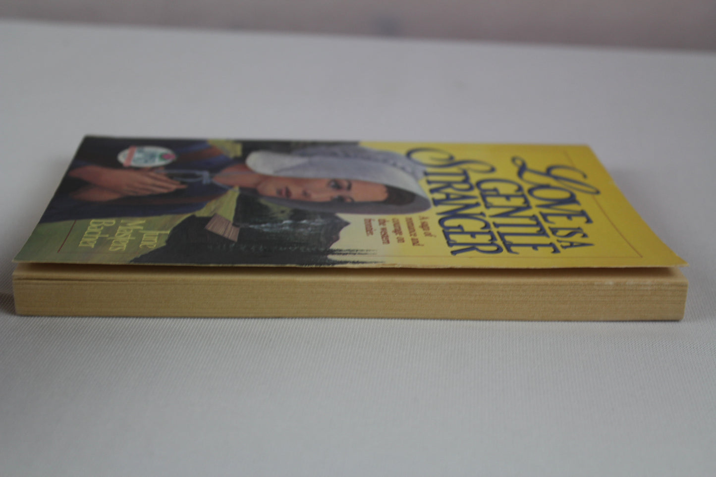 Love Is a Gentle Stranger by June Masters Bacher