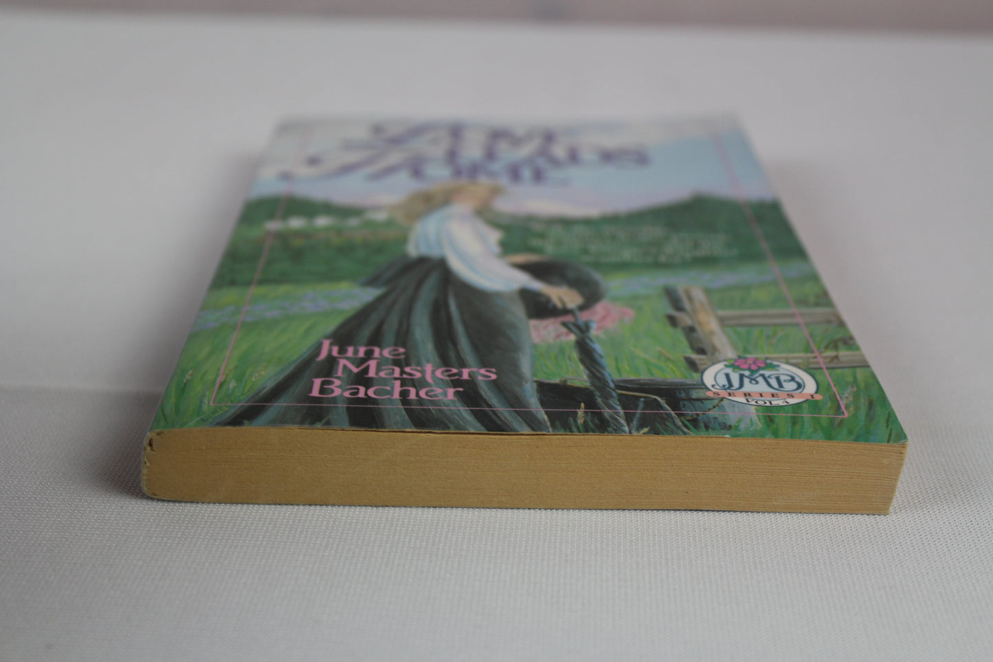 Love Leads Home by June Masters Bacher