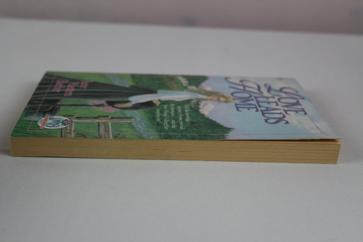 Love Leads Home by June Masters Bacher