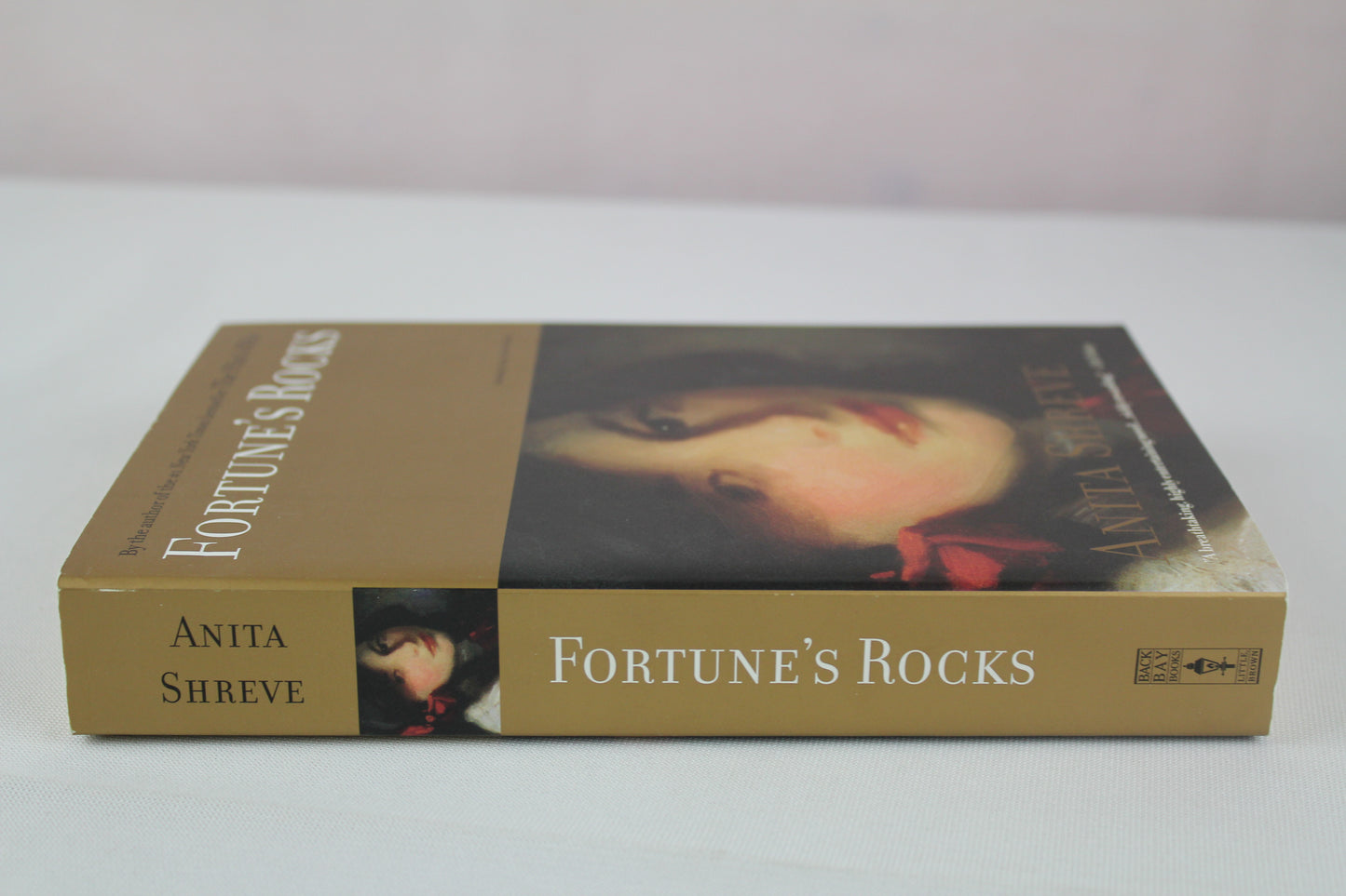 Fortune's Rocks by Anita Shreve