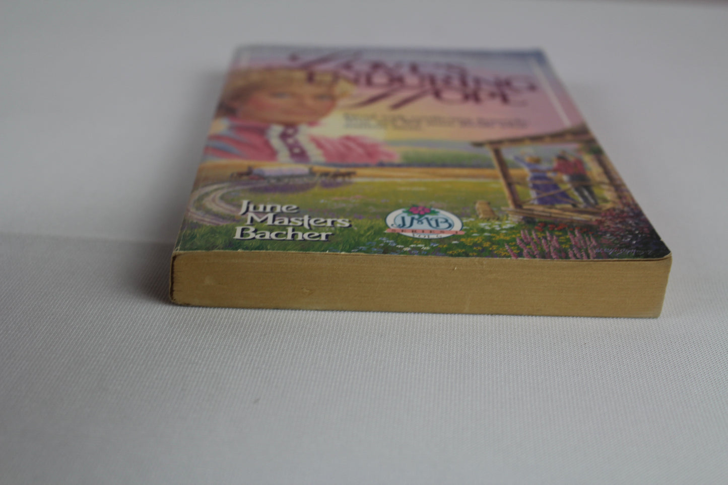 Love's Enduring Hope (Jmb Series I) by June Masters Bacher