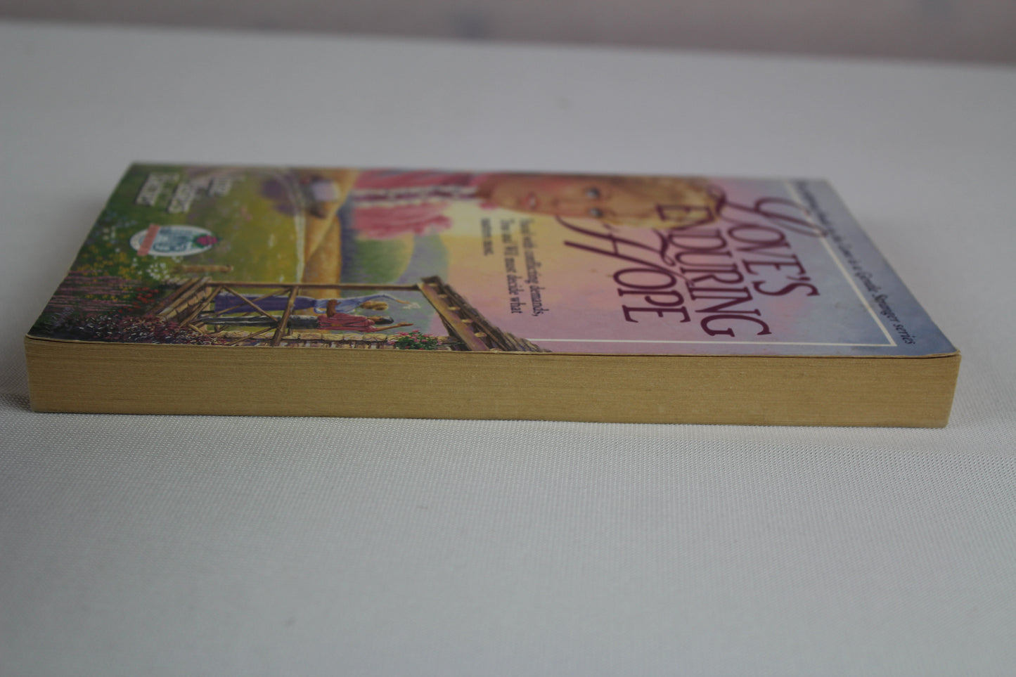 Love's Enduring Hope (Jmb Series I) by June Masters Bacher