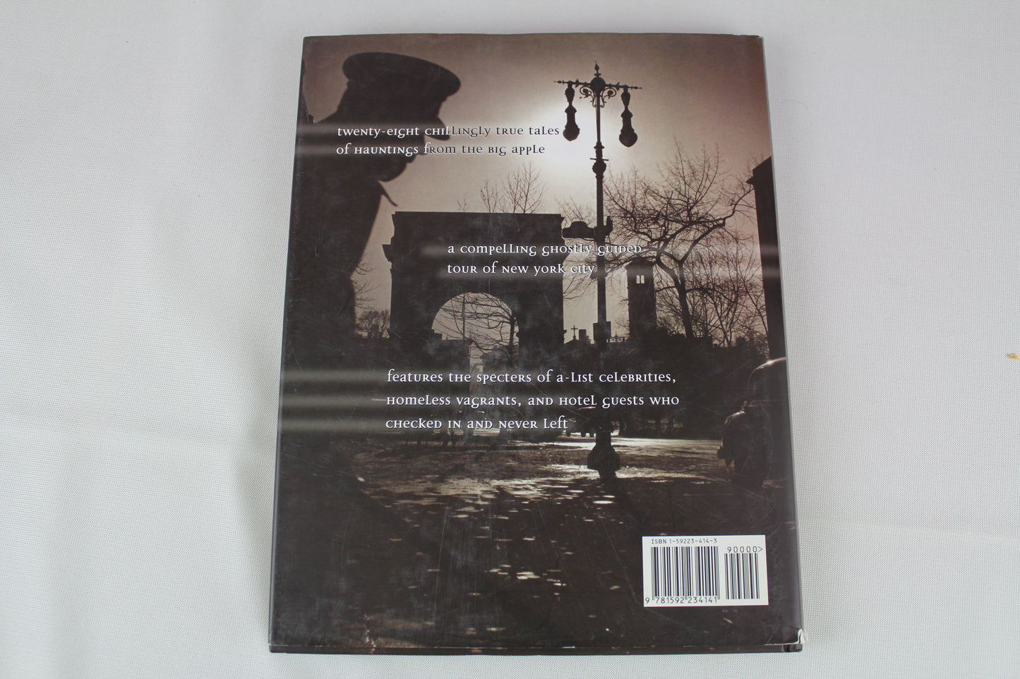 Ghosts of New York by Marilyn Stults