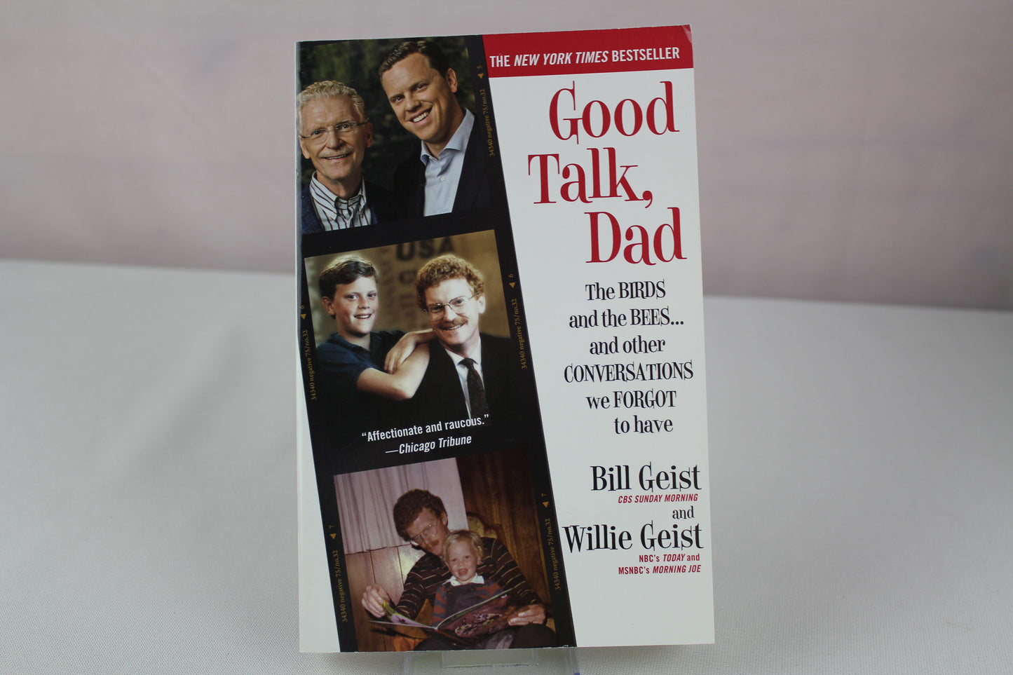 Good Talk, Dad: The Birds and the Bees...and Other Conversations We Forgot to Have by Bill Geist, Willie Geist