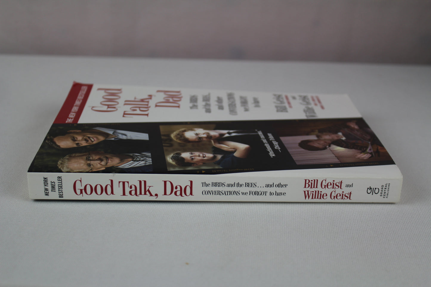 Good Talk, Dad: The Birds and the Bees...and Other Conversations We Forgot to Have by Bill Geist, Willie Geist