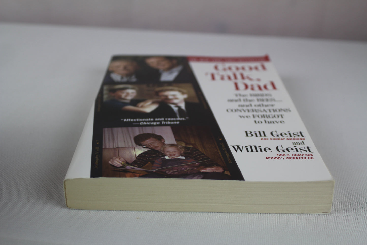 Good Talk, Dad: The Birds and the Bees...and Other Conversations We Forgot to Have by Bill Geist, Willie Geist