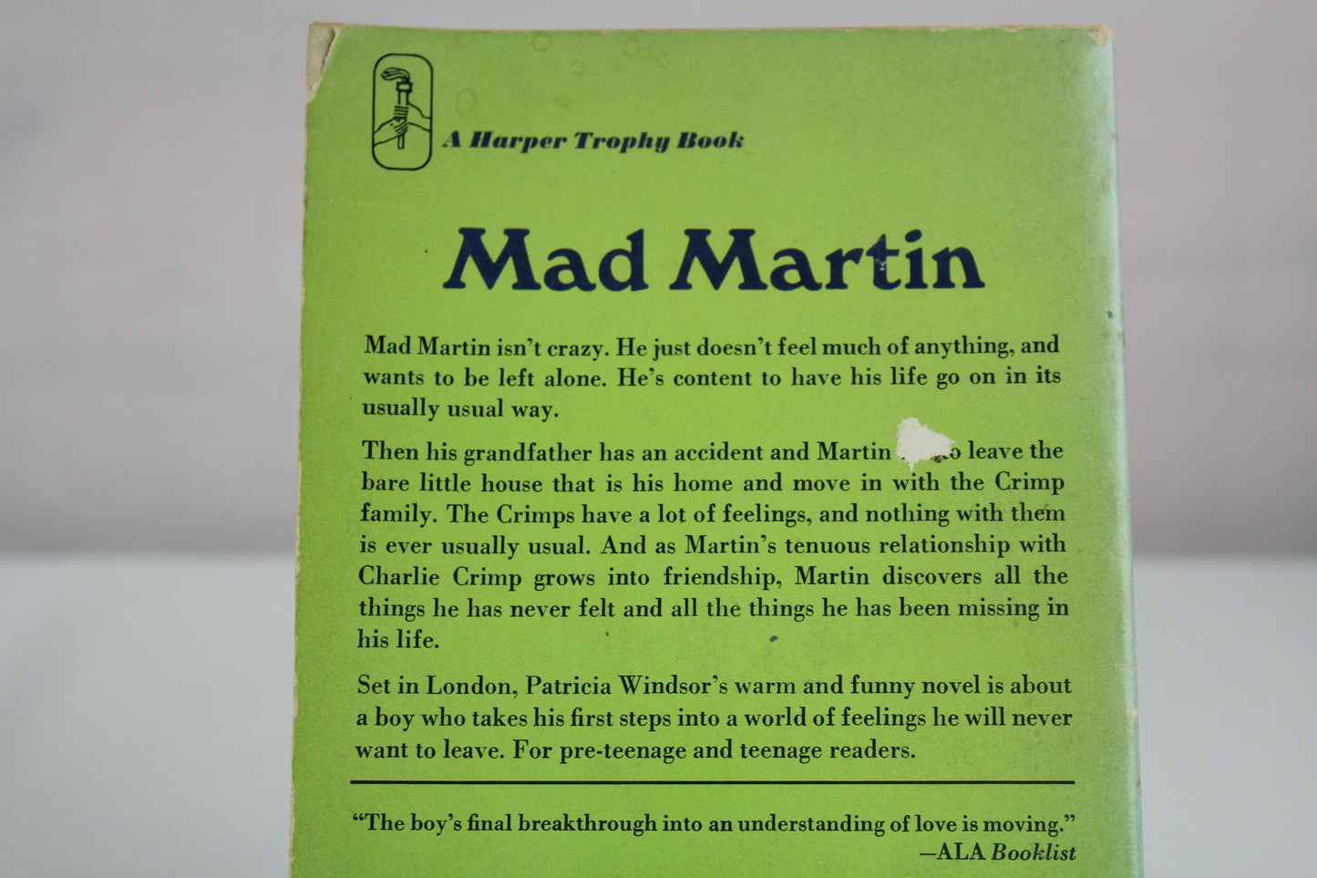 Mad Martin by Patricia Windsor