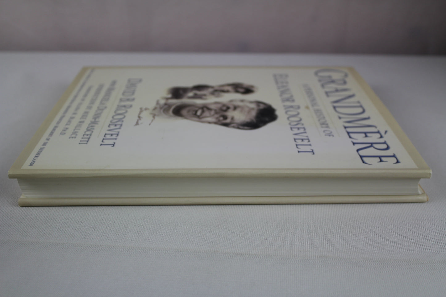Grandmère: A Personal History of Eleanor Roosevelt by David B. Roosevelt, Manuela Dunn-Mascetti