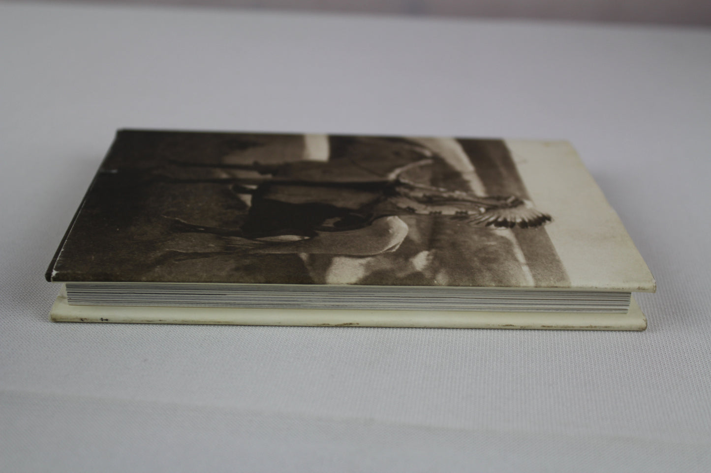 Great Plains by Edward S. Curtis, Callaway Editions, Christopher Cardozo
