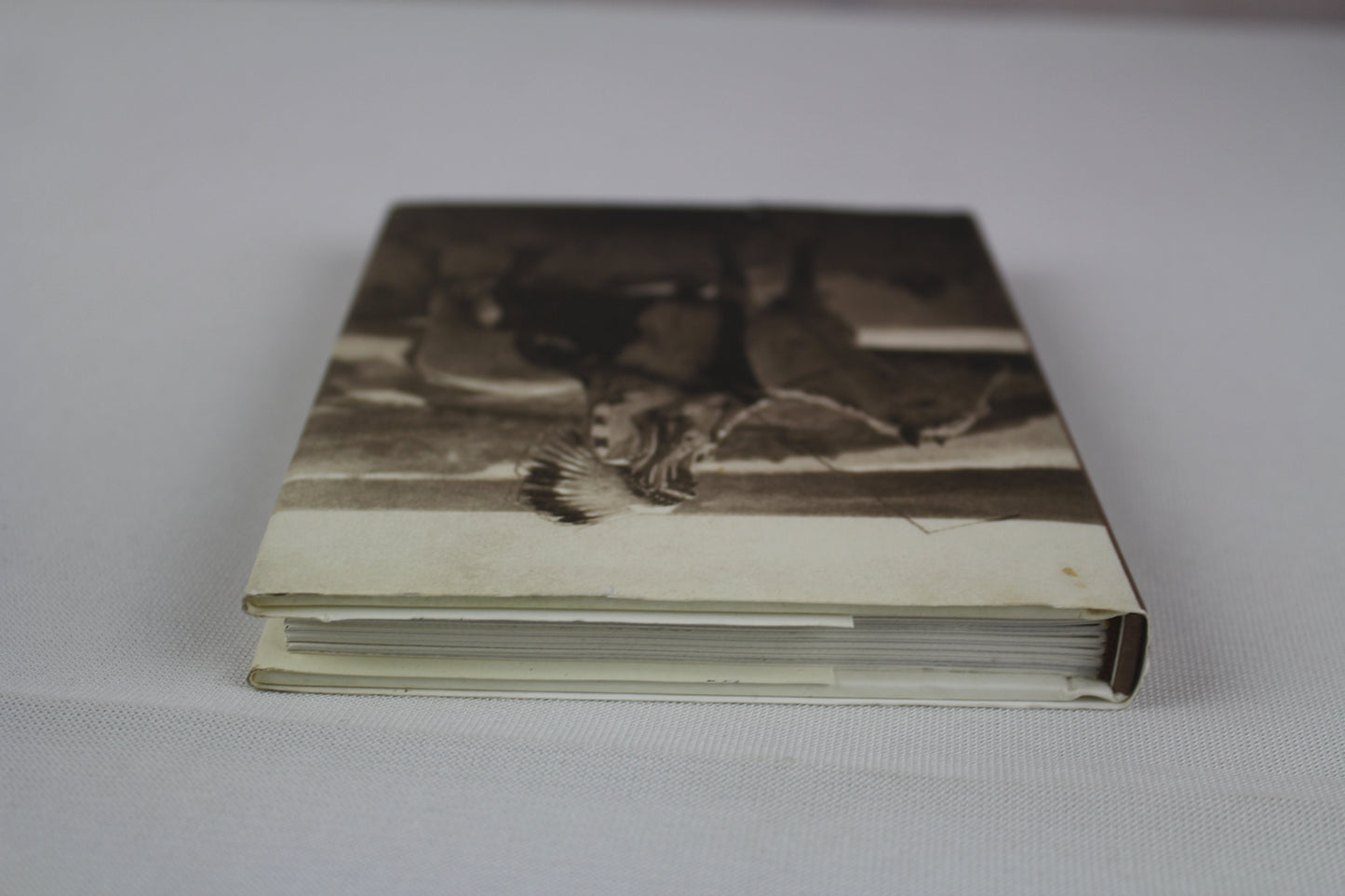 Great Plains by Edward S. Curtis, Callaway Editions, Christopher Cardozo