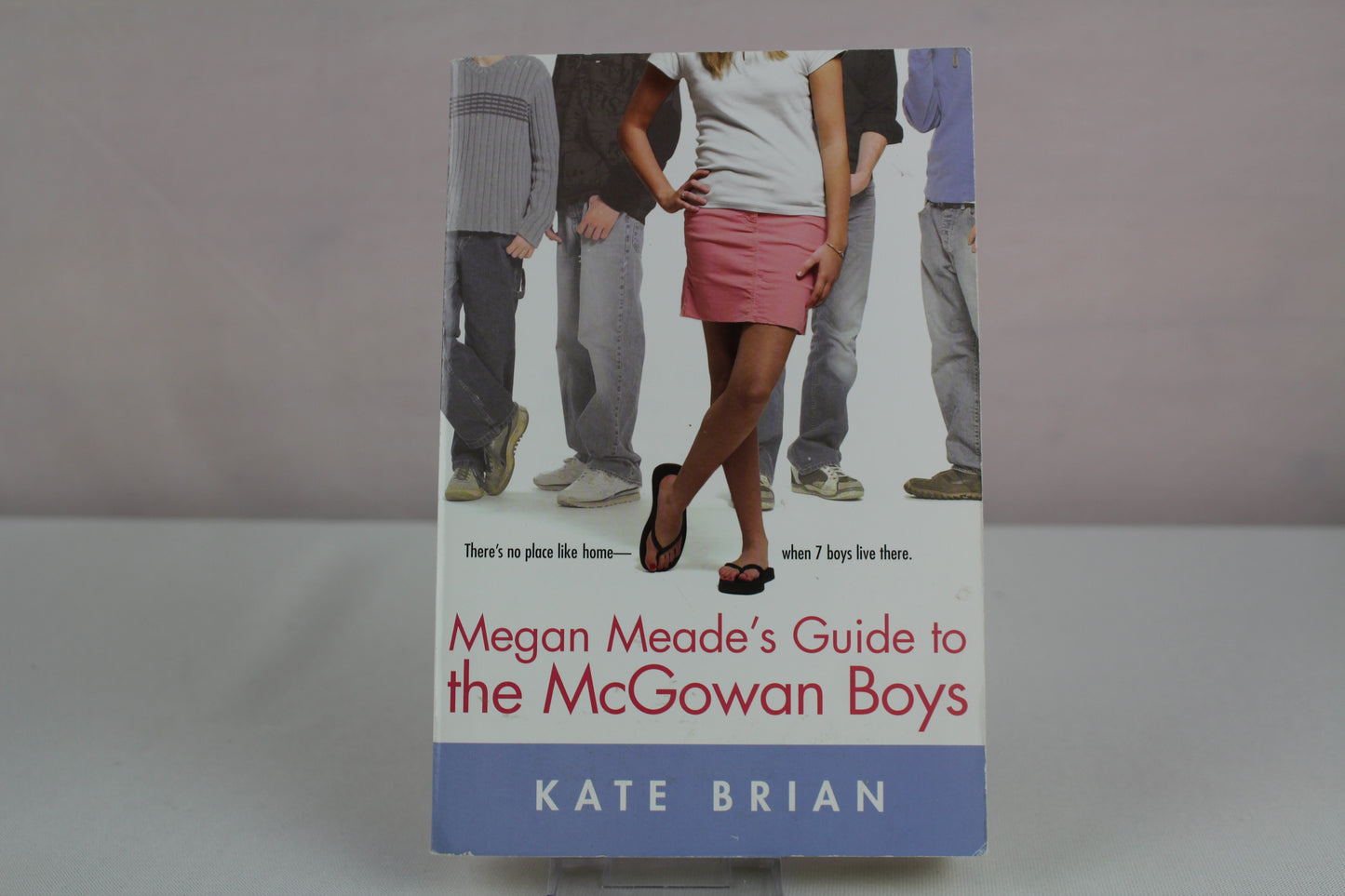 MEGAN'S PROMISE by Neva Coyle