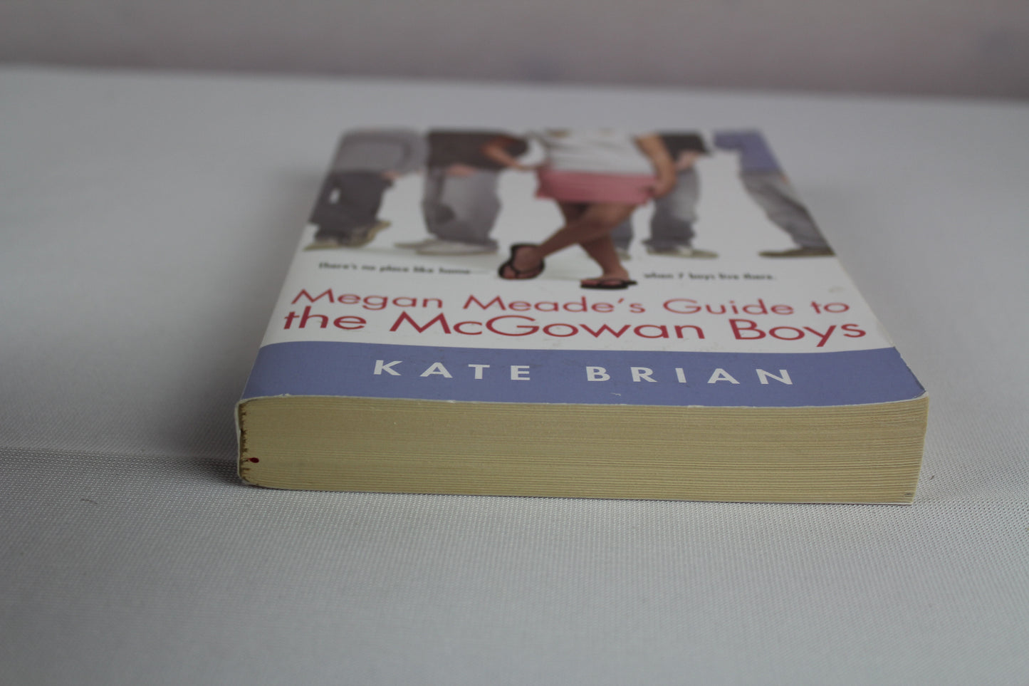 Megan Meade's Guide to the McGowan Boys by Kate Brian