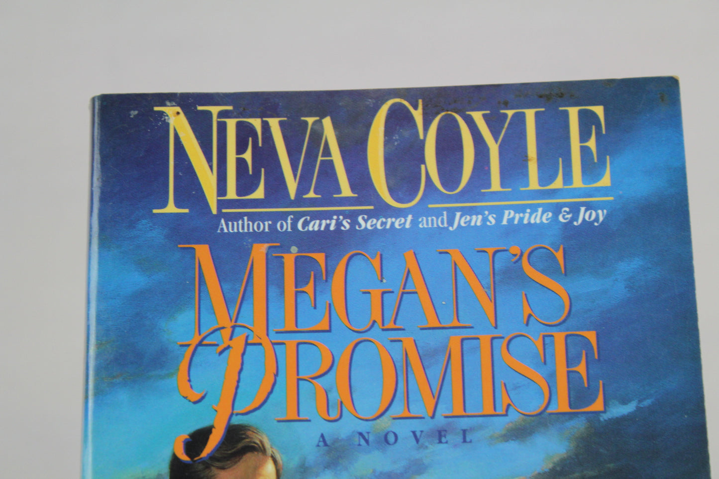 MEGAN'S PROMISE by Neva Coyle