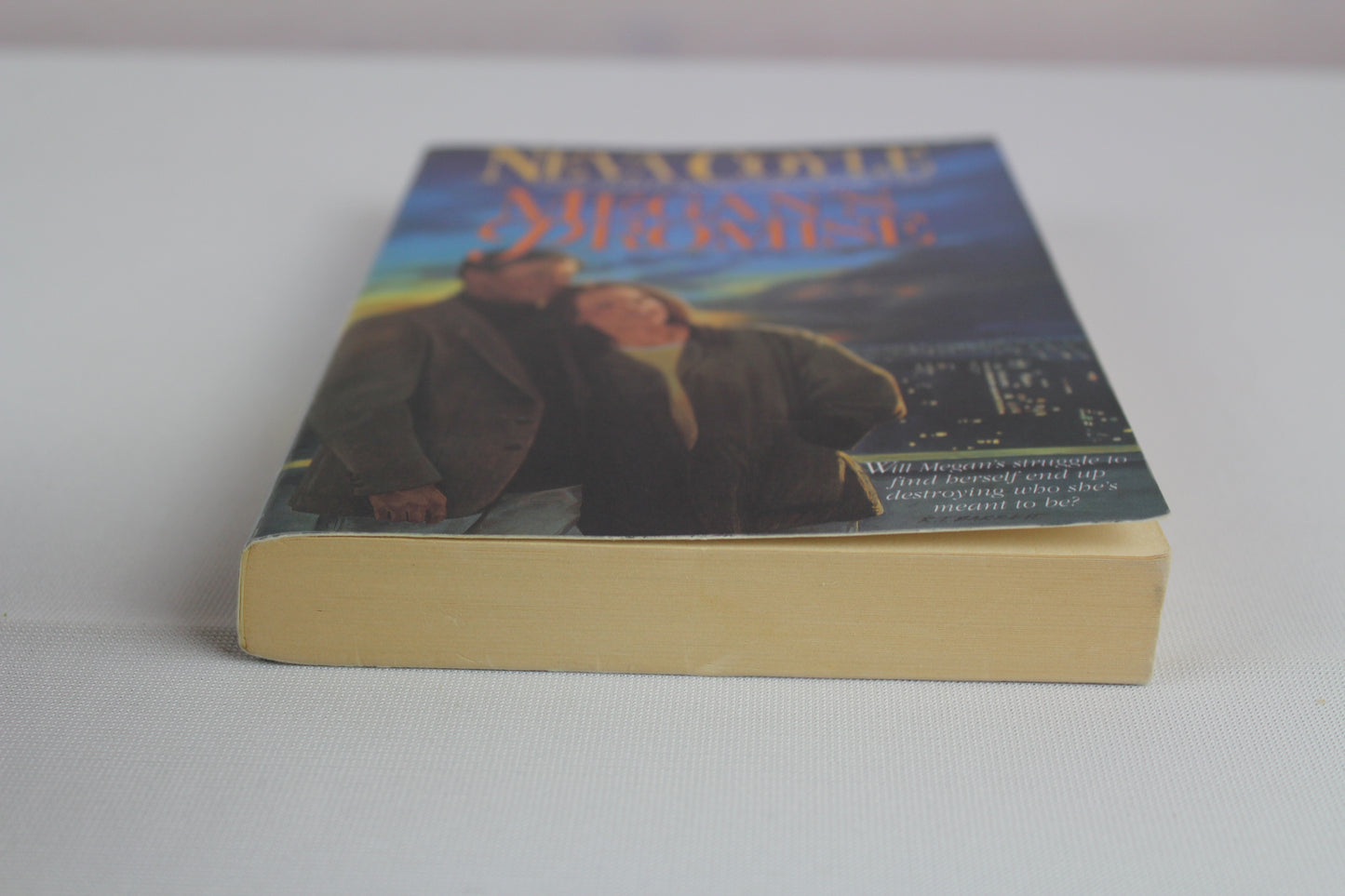 MEGAN'S PROMISE by Neva Coyle
