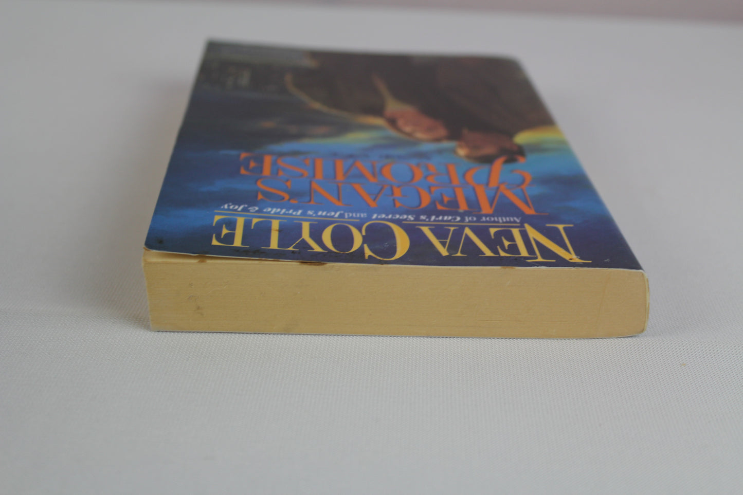 MEGAN'S PROMISE by Neva Coyle