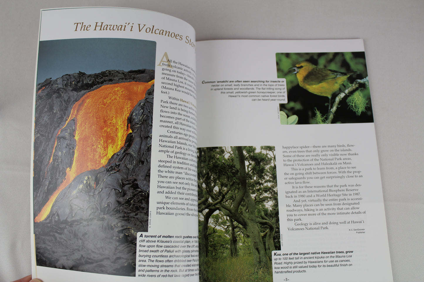 Hawaii Volcanoes: The Story Behind the Scenery (Discover America: National Parks) by Janet L. Babb, Cheri C. Madison, K.C. DenDooven