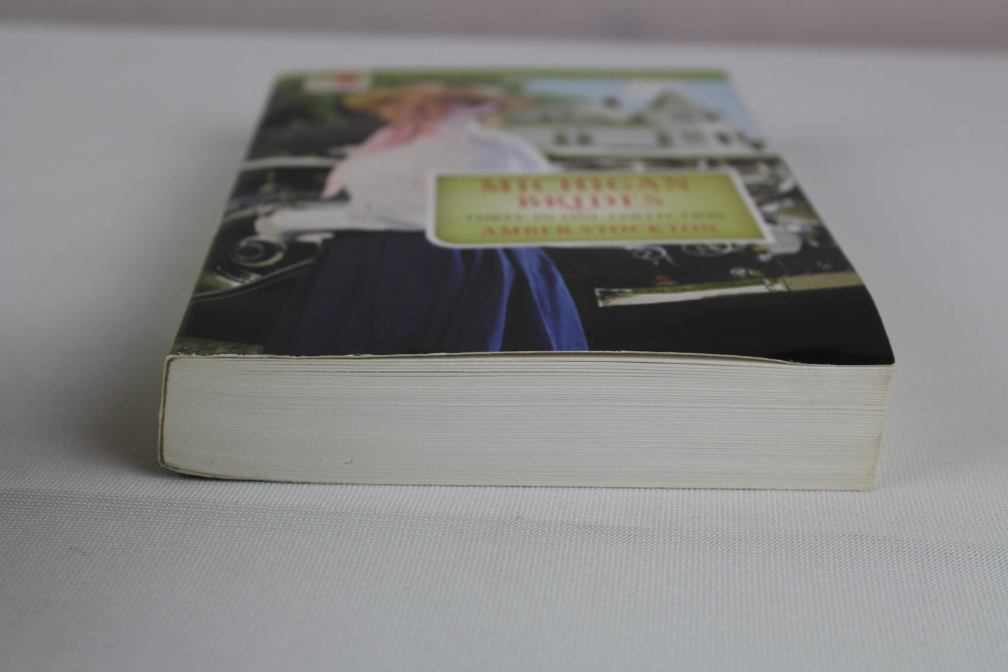 Michigan Brides (Romancing America) by Tiffany Amber Stockton