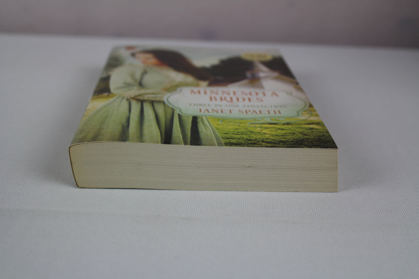 Minnesota Brides: The Ice Carnival / Kind-Hearted Woman / Remembrance (Romancing America) by Janet Spaeth