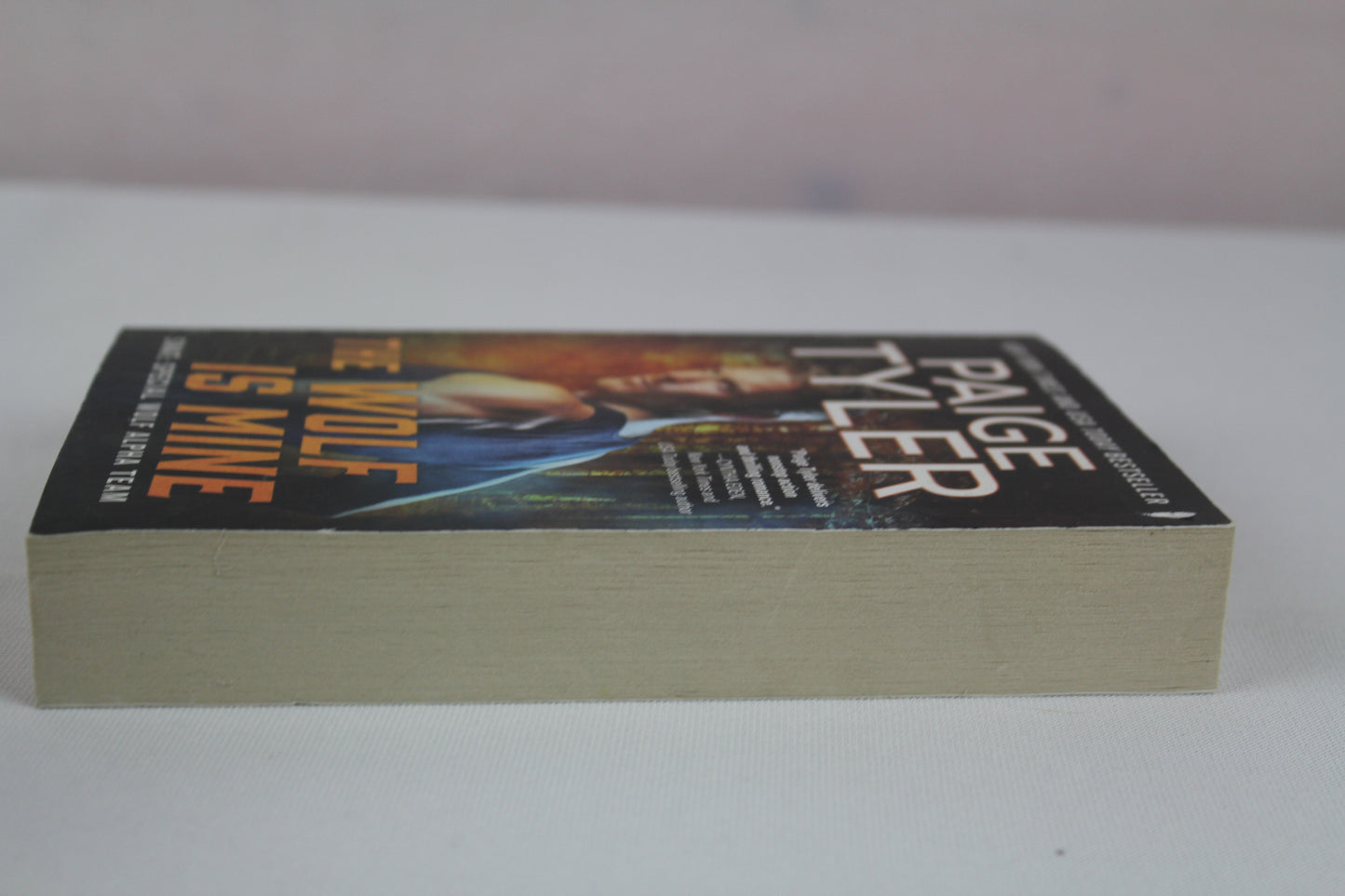 The Wolf Is Mine: 13 by Paige Tyler