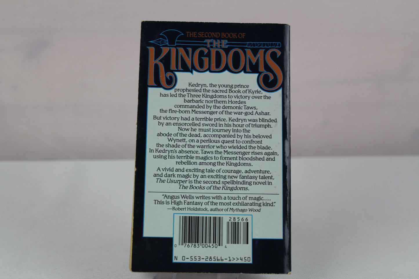 The Usurper: The Second Book of The Kingdoms by Angus Wells
