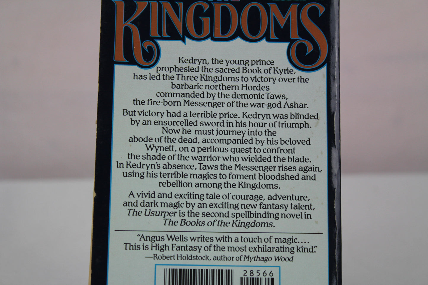 The Usurper: The Second Book of The Kingdoms by Angus Wells