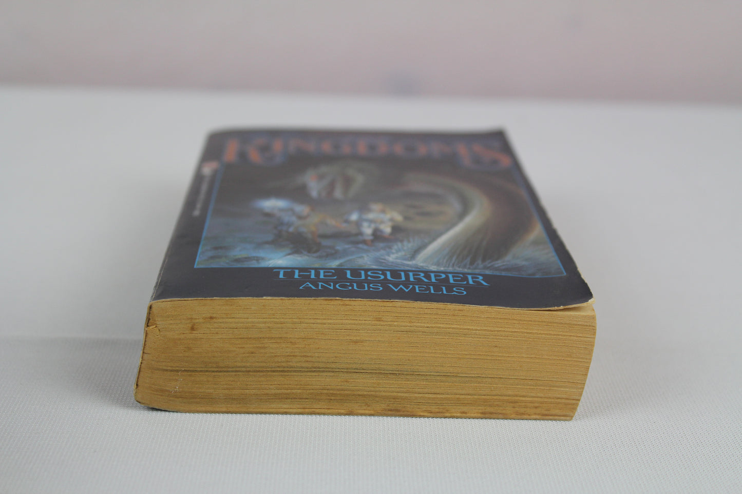 The Usurper: The Second Book of The Kingdoms by Angus Wells