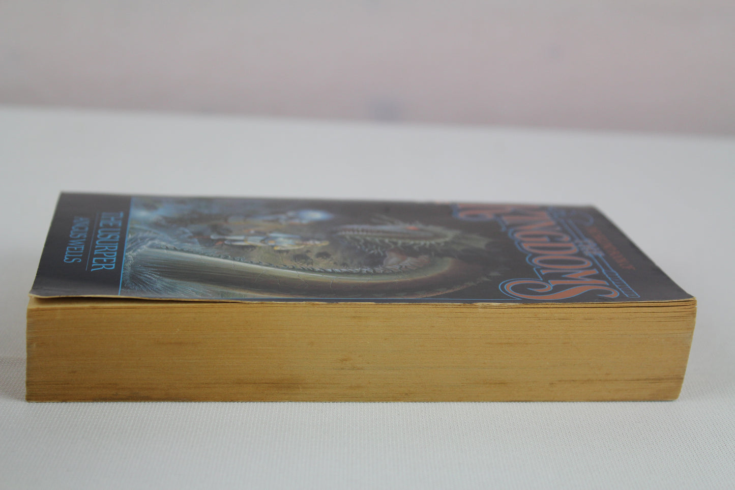 The Usurper: The Second Book of The Kingdoms by Angus Wells