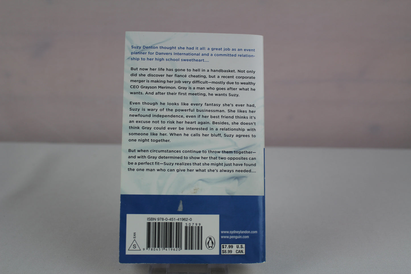 Not Planning On You: A Danvers Novel by Sydney Landon