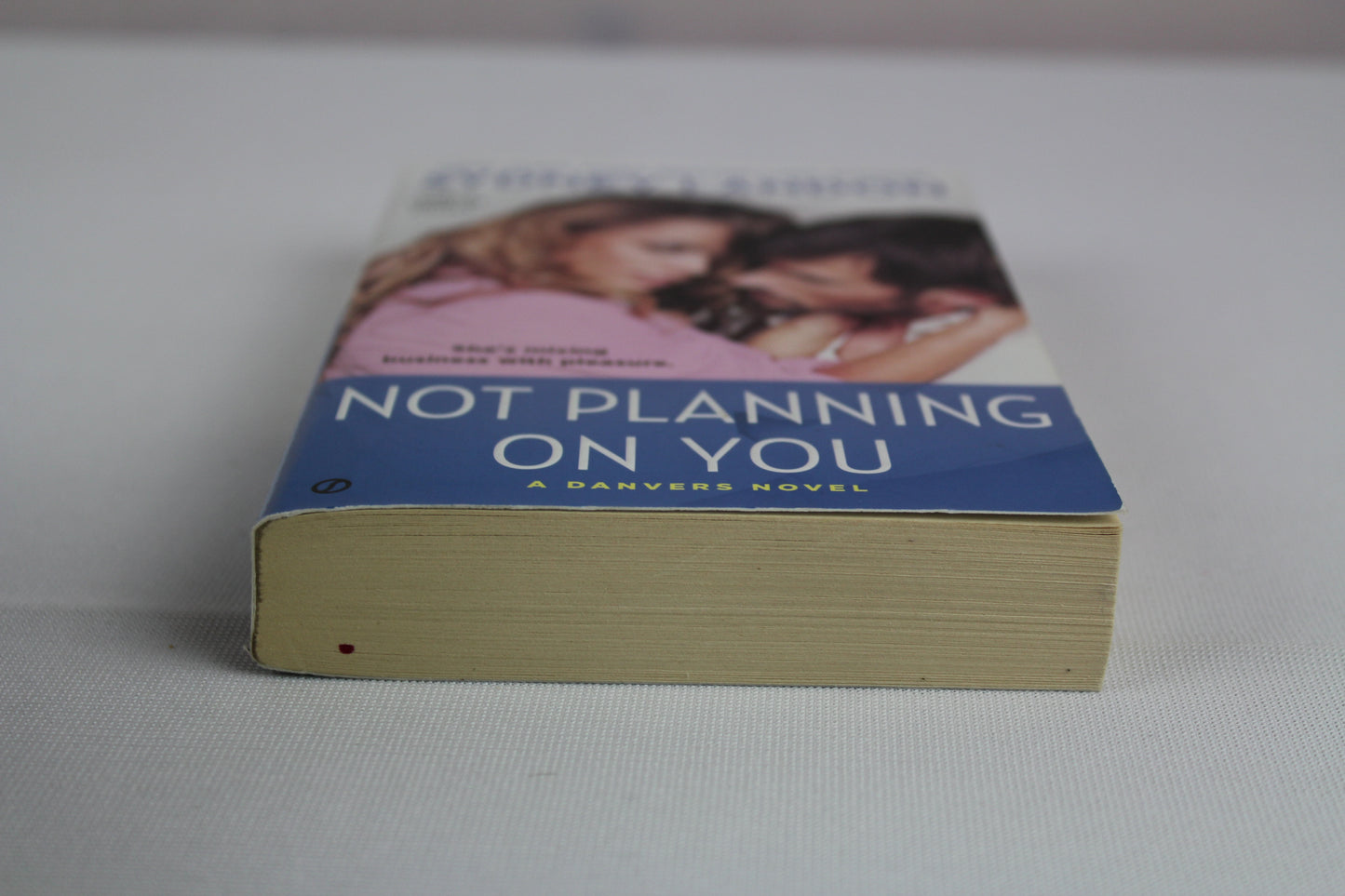 Not Planning On You: A Danvers Novel by Sydney Landon
