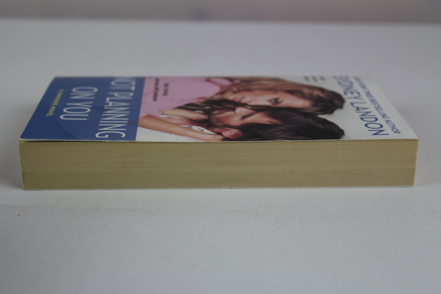Not Planning On You: A Danvers Novel by Sydney Landon