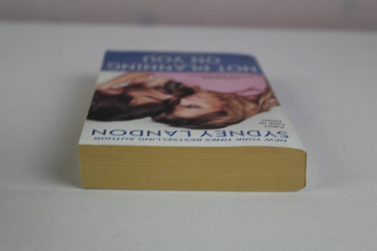 Not Planning On You: A Danvers Novel by Sydney Landon