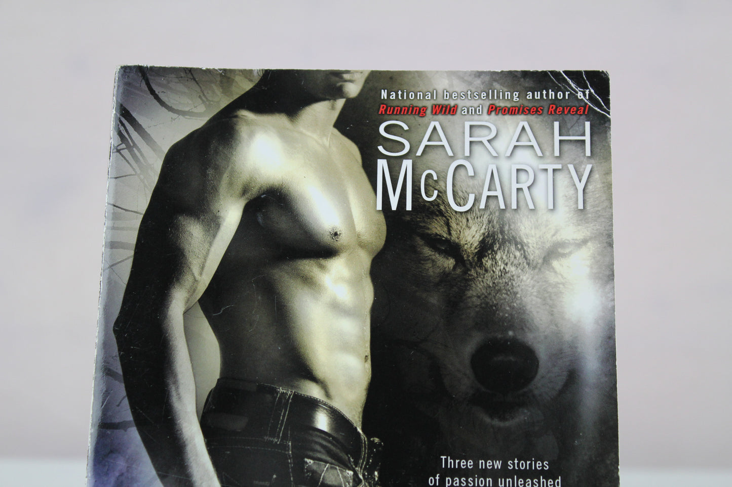 Wild Instinct by Sarah McCarty