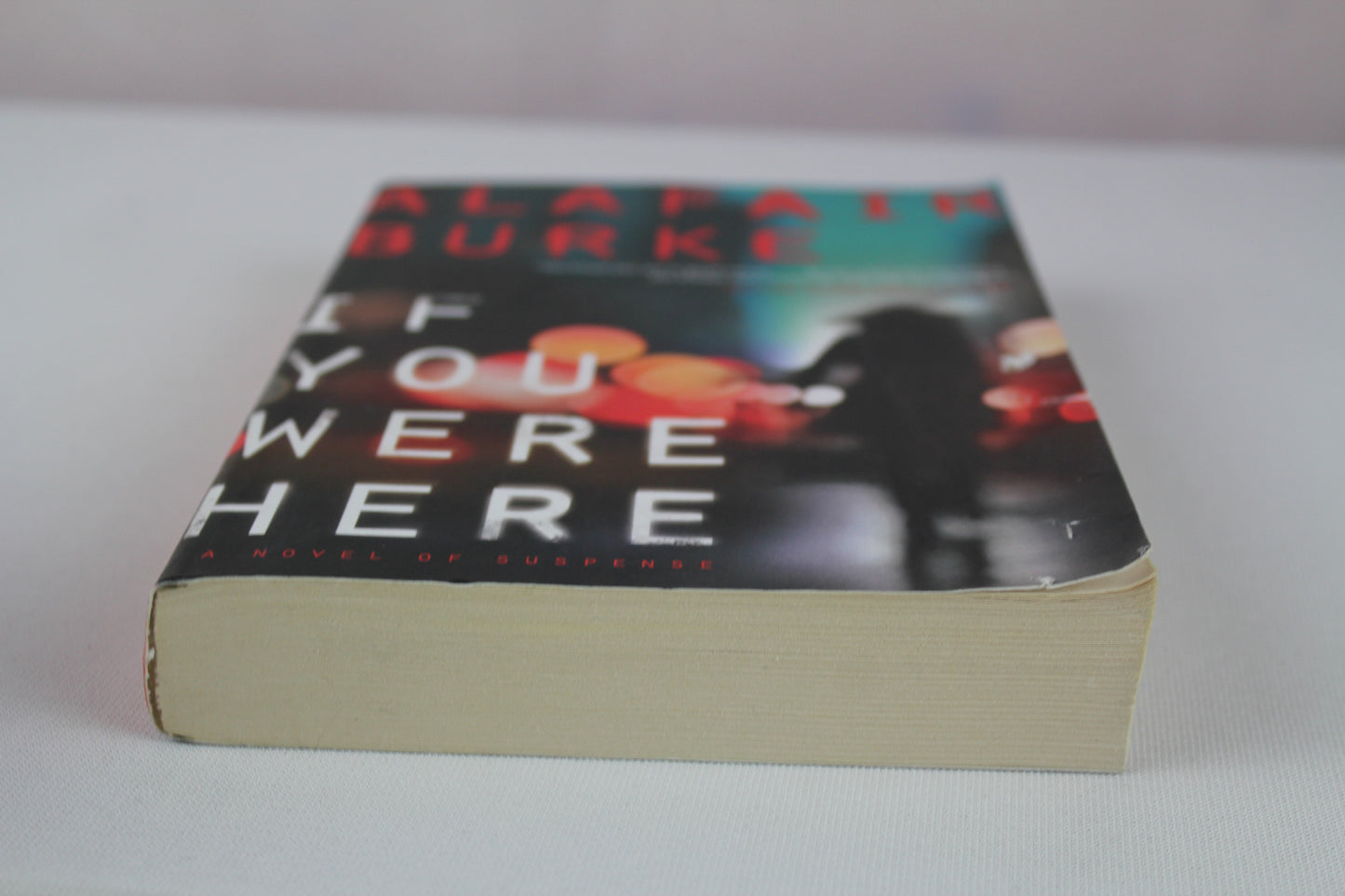 If You Were Here: A Novel of Suspense by Alafair Burke