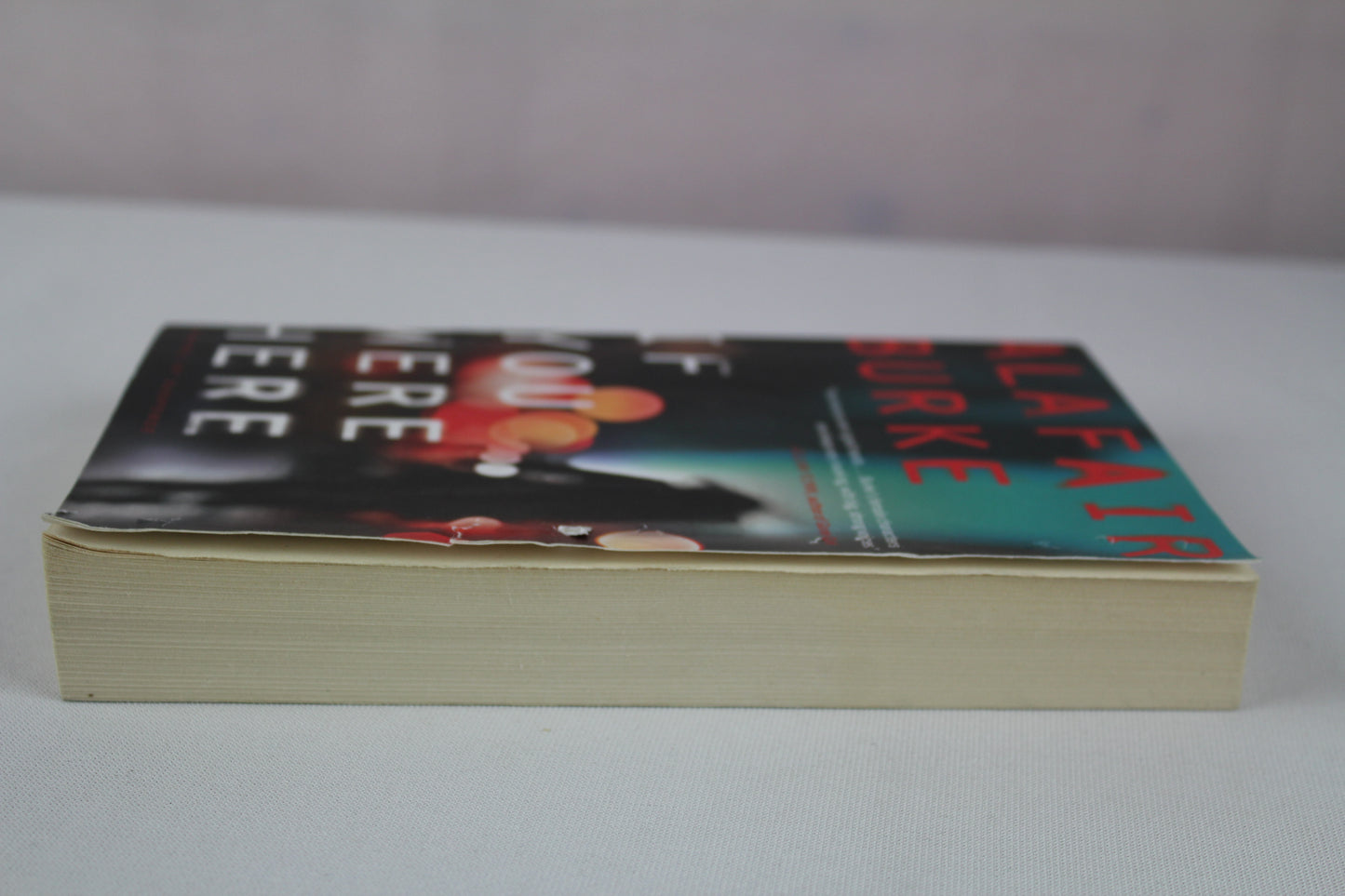 If You Were Here: A Novel of Suspense by Alafair Burke
