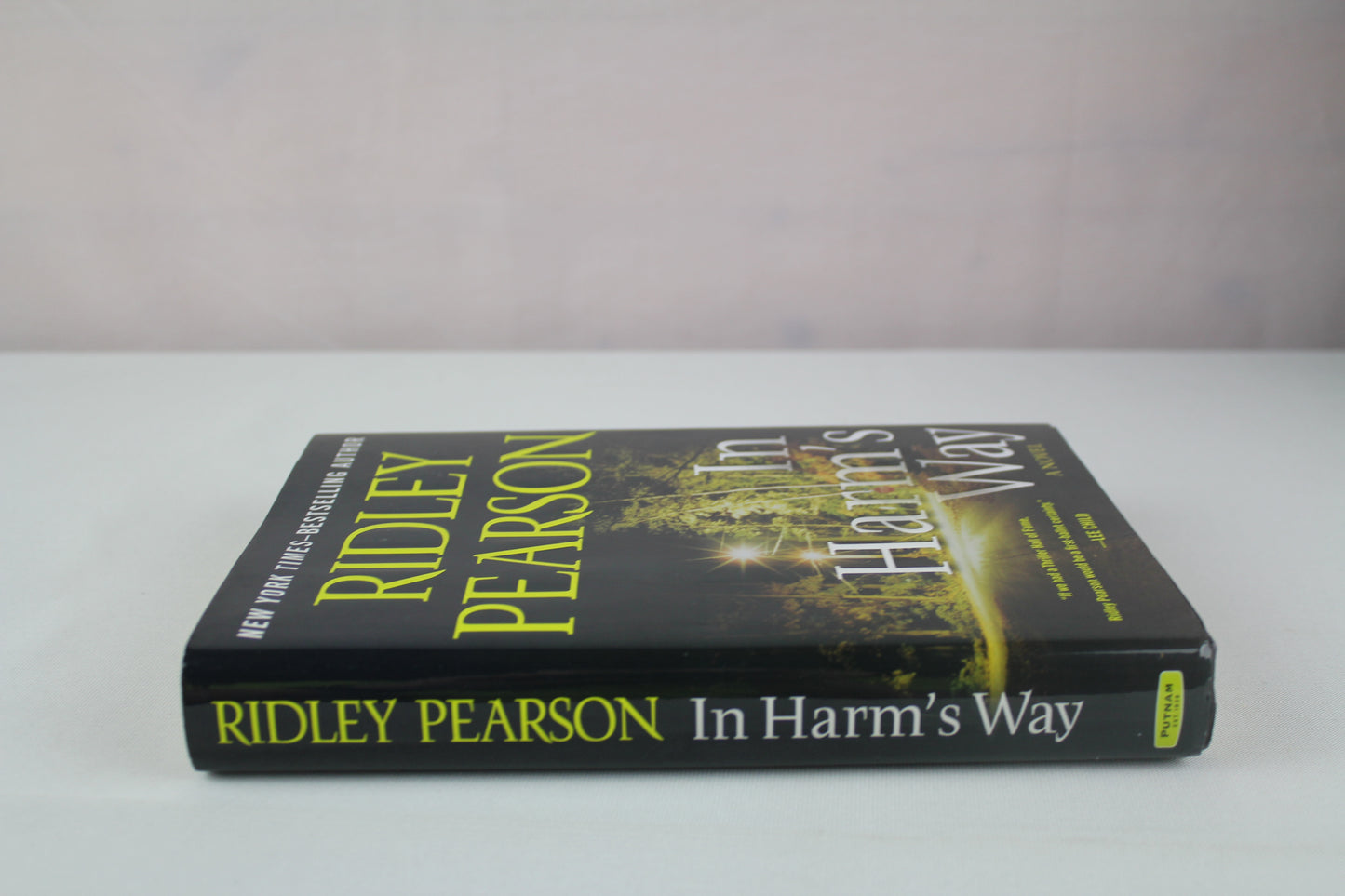 In Harm's Way (Walt Fleming Novel) by Ridley Pearson