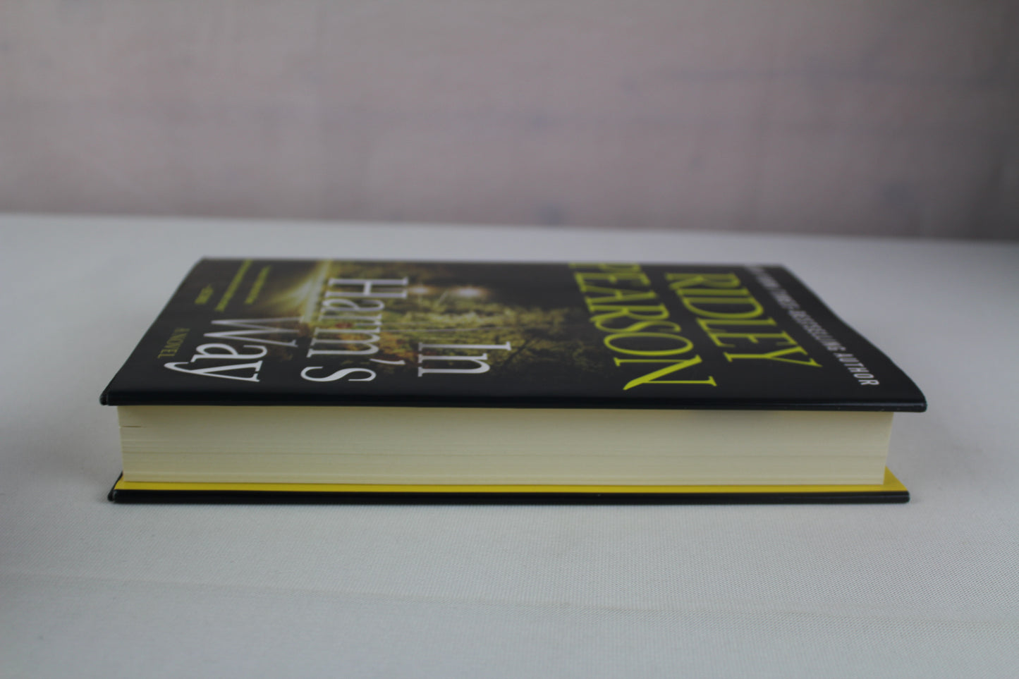 In Harm's Way (Walt Fleming Novel) by Ridley Pearson