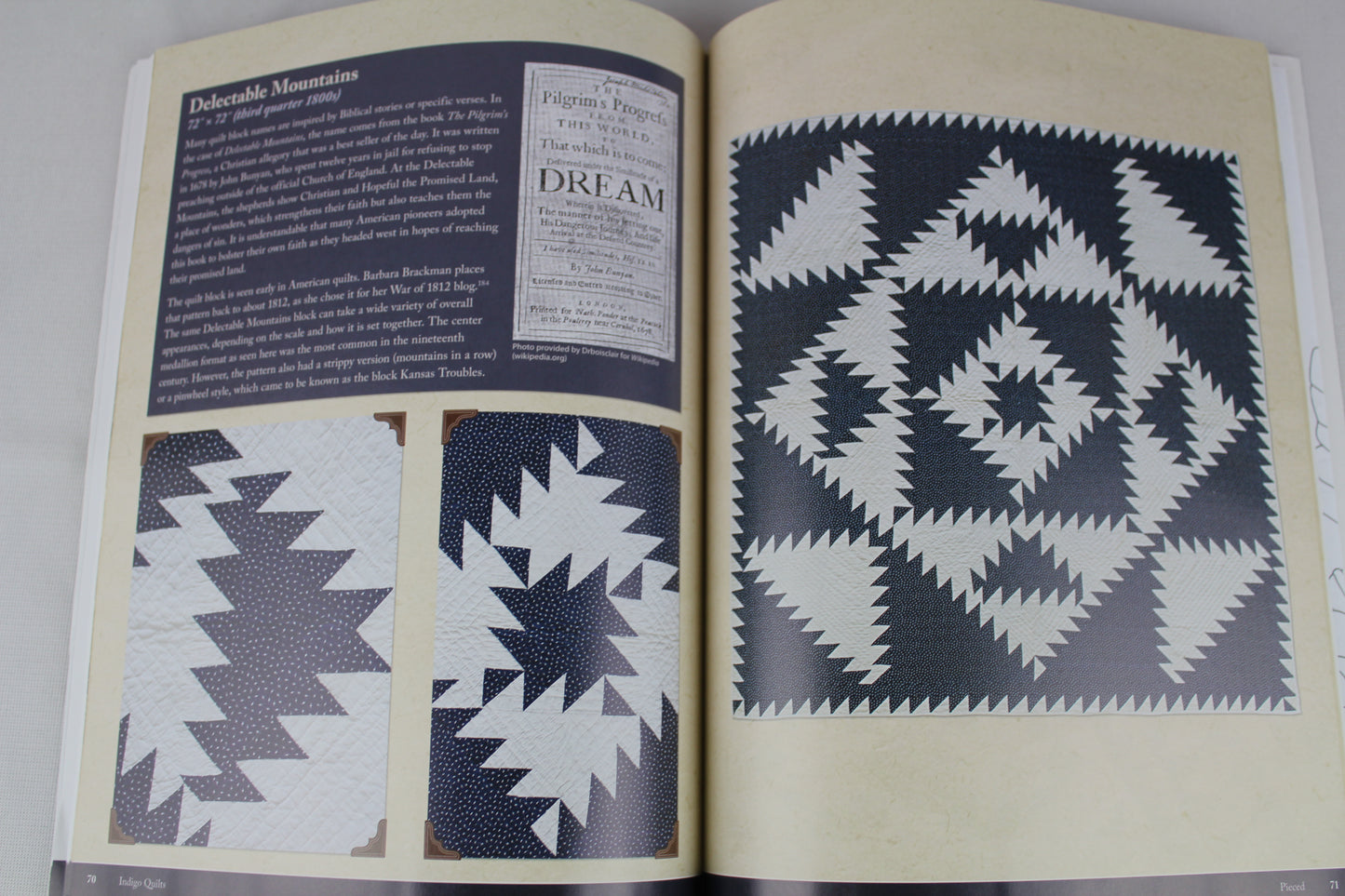 Indigo Quilts: 30 Quilts from the Poos Collection - History of Indigo - 5 Projects by Kay Triplett, Lori Lee Triplett