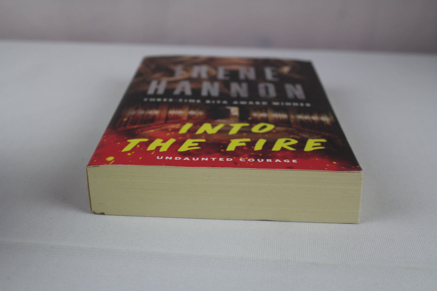 Into the Fire: (Arson Investigative Suspense Thriller and Forced Proximity Romance) by Irene Hannon