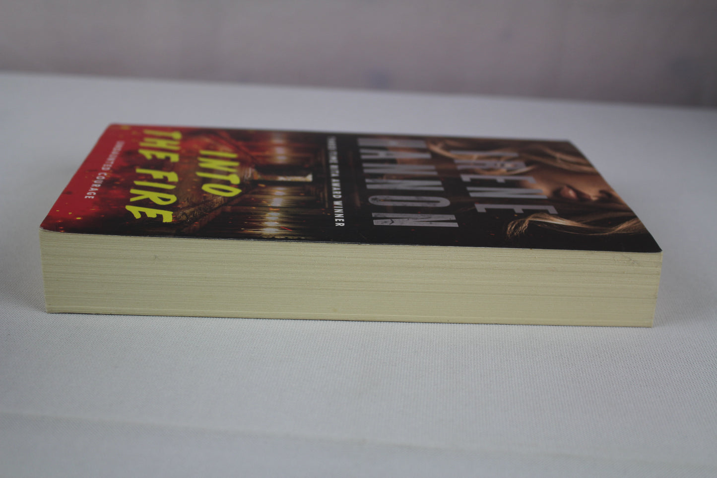 Into the Fire: (Arson Investigative Suspense Thriller and Forced Proximity Romance) by Irene Hannon