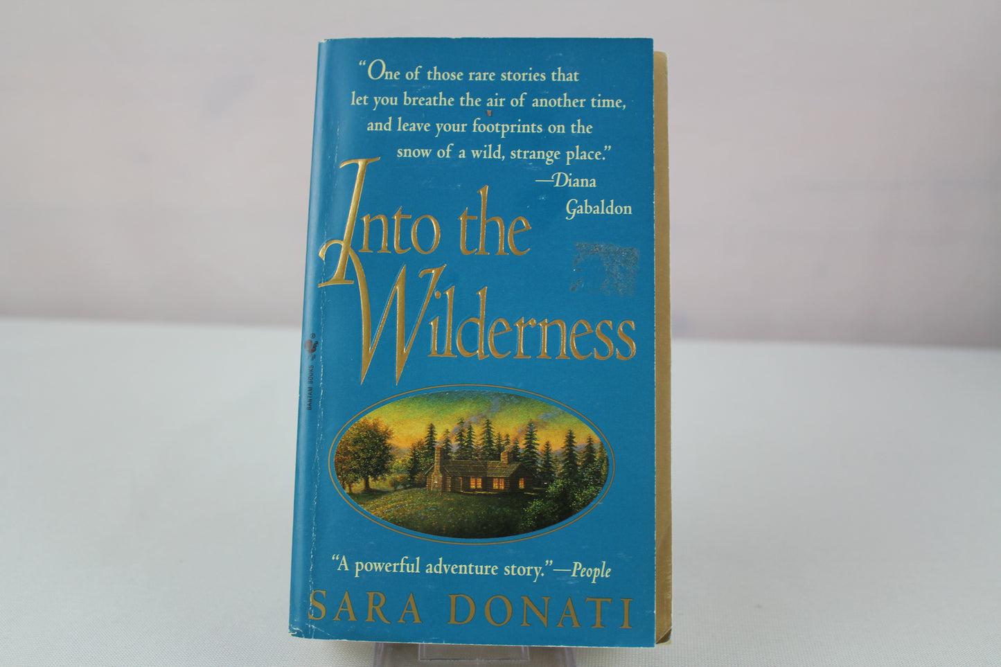 Into the Wilderness by Sara Donati