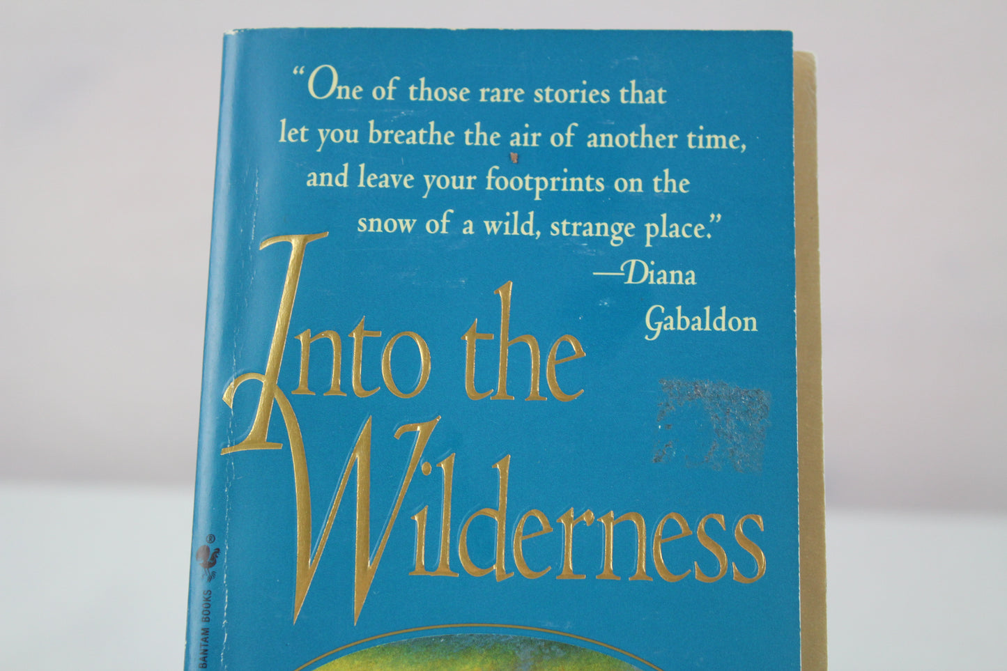 Into the Wilderness by Sara Donati